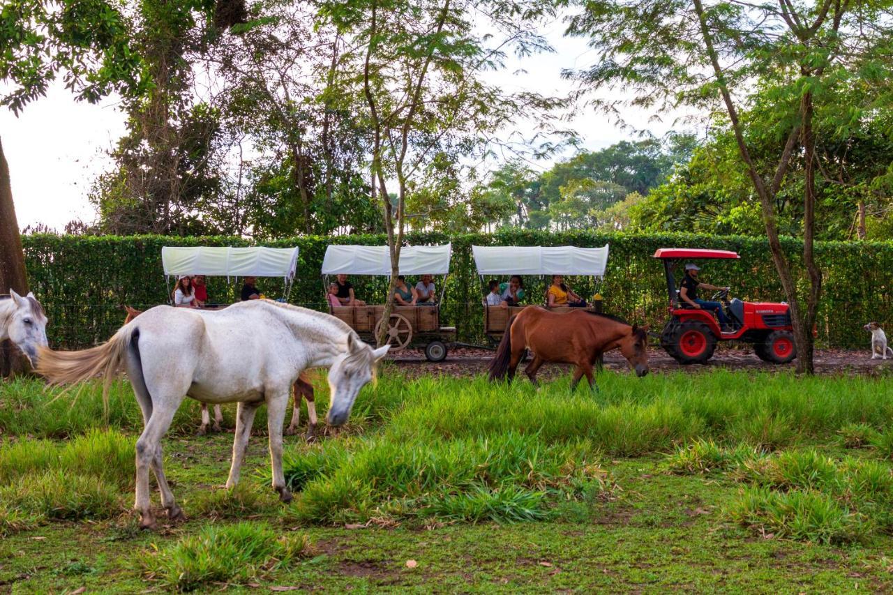 Hotel Campestre La Potra Apiay Exterior foto